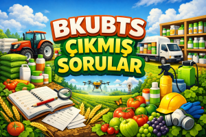 BAYKÜ ÇIKMIŞ SORULAR