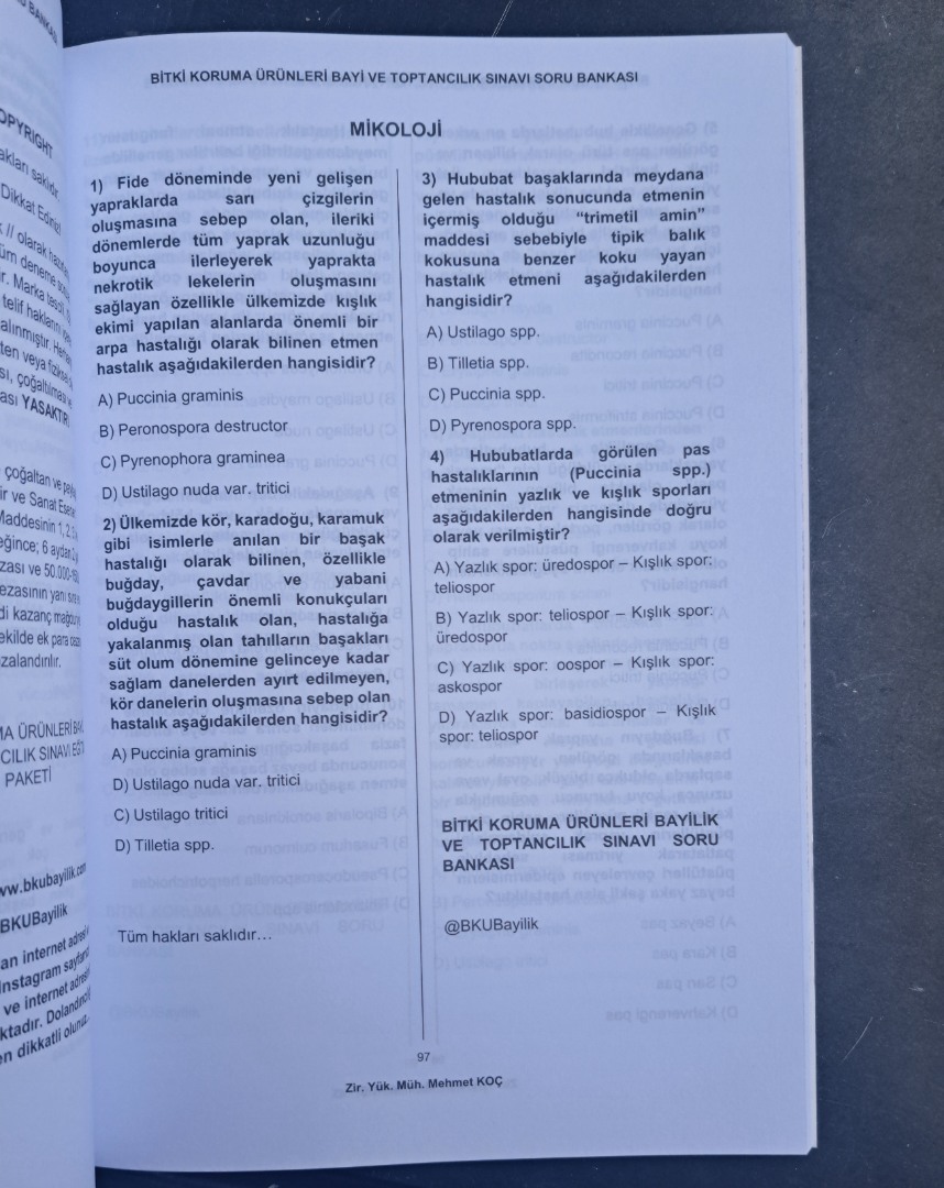 Text