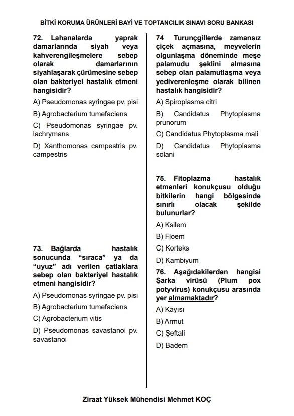 Text