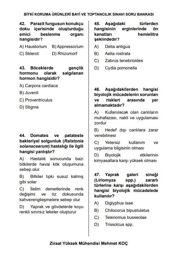 Text